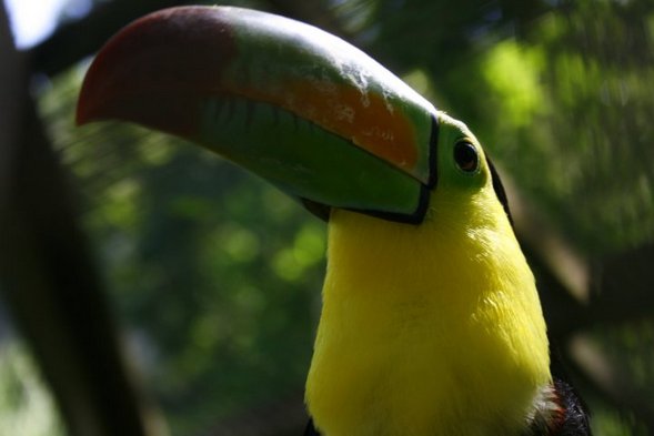 Wildlife and Birding