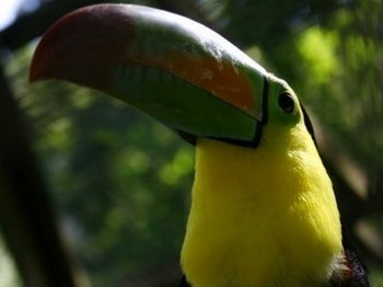 image014 smb