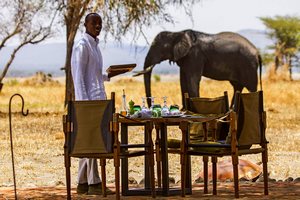Tanzania in Style Safari 